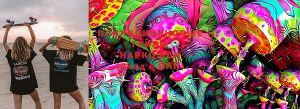 мдпв Вязники