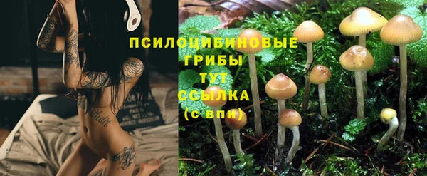 дистиллят марихуана Вяземский