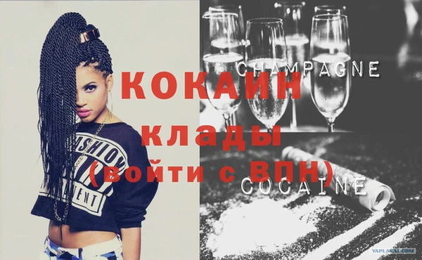 шишки Вязьма