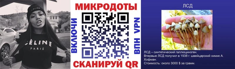 Псилоцибиновые грибы Psilocybine cubensis  наркошоп  omg онион  Кондопога 